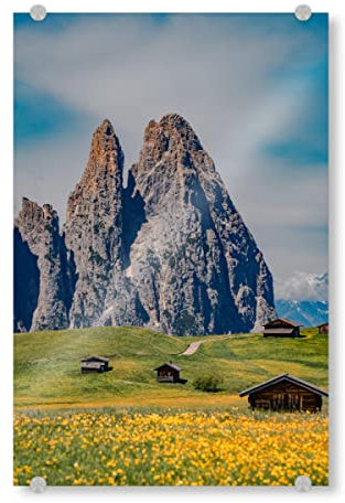 artboxONE Acrylglasbild 60x40 cm Natur Seiser ALM Dolomiten Bild hinter Acrylglas - Bild Berge Blumen dolomiten