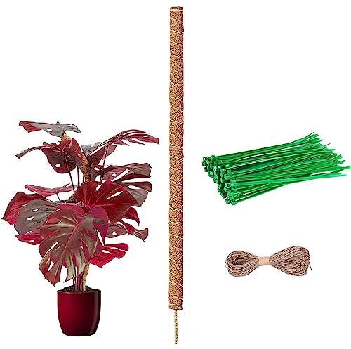 Tallkeey 80cm Moss Pole for Plants - Bendable Plant Supports for Monstera and Climbing Plants Growth