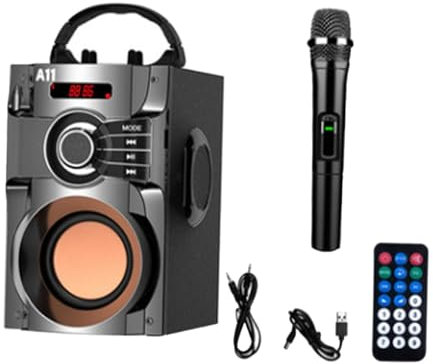 LOVIVER Machine de karaoké avec avec Micro Portable Prend en la Carte TF Haut-Parleur Portable BT pour Le Chant en Plein air Adultes Enfants, Noir
