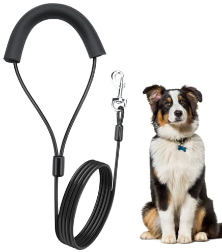 Fomiata Chew Proof hundkoppel, hundkoppel, hundkedja, koppel för stora och små hundträning (1,6 m) svart