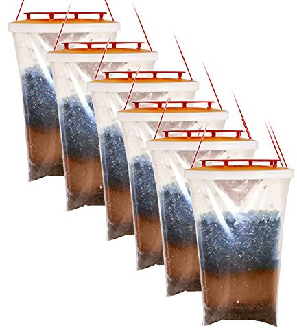 Trappola per Mosche e vespe Red Top (6 pezzi)