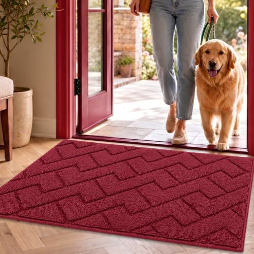 Biscpro Zerbino Ingresso Casa 50 x 80cm zerbino esterno,Tappeto Antiscivolo, Assorbente, Morbido e Lavabile Zerbino da Interni per Interno, Bagno, Cucina, Giardino (Rosso) (BBGS)