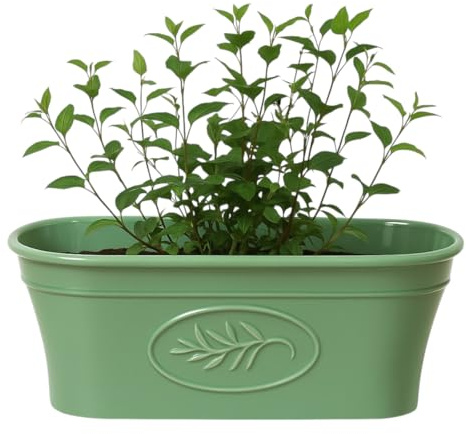 Divas World Green Olive Window Box Planter 6 Litre Capacity Lightweight Durable Flower Pot Trough for Outdoor Indoor Balcony Garden Patio Herbs Plants