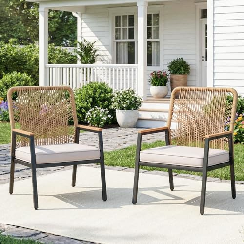 LIFERUN Gartenstuhl Rattan 2er Set, Terrassenstühle, Balkonstühle Metall