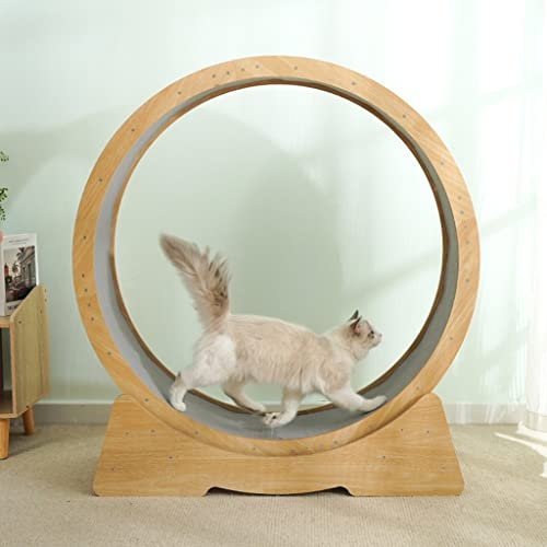 Umweltfreundliches Katzenlaufrad aus Holz, Katzenlaufband, sicheres, leises Laufrad for Laufen, Drehen, Kratzen und Klettern for Katzen im Innenbereich, breite Laufbahn (Size : M)