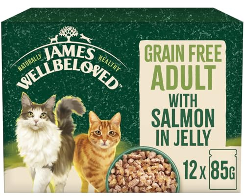 James Wellbeloved Grain Free Adult Cat Food with Salmon in Jelly Pouch 12 x 90 g