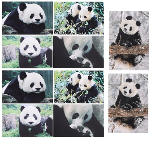 Operitacx Lot De 10 Cartes Postales Panda 5.91X3.94 Pouces Cartes Postales Animaux Collection Pour Baby Shower Cadeau Thanksgiving Et Décoration Murale