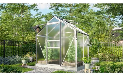 Vitavia Gewächshaus Marley inkl. Ready2Grow Zubehör-Set, Aluminium eloxiert, 2,5 m², 6 mm HKP | Wetterfestes & stabiles Treibhaus | Perfekt für Gemüse & Pflanzen | Robust & langlebig