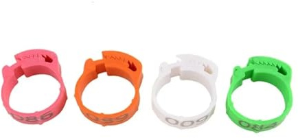 Hühnerringe 25/50 Stück Hühnerfußringe mit verstellbarem Innendurchmesser von 2 bis 2,4 cm, digitaler Geflügelring, Enten- und Gänsefarmmanagementbedarf Für Hühner, Enten, Hühnchen, Goose(Random color