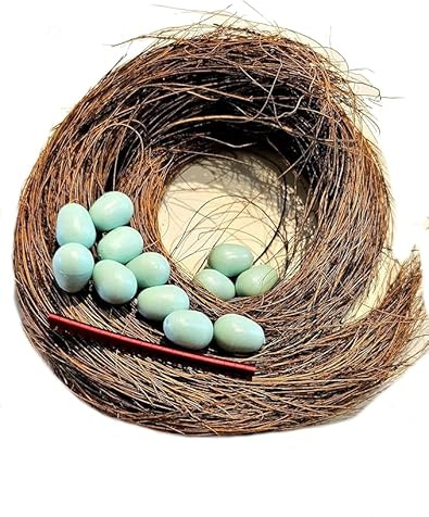 Fauna Birdproducts 12 Nesteier für Kanarien, 30g Nistmaterial & 20 Vogelringe 3 mm aus Aluminium