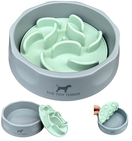 Slow Feeder Dog Bowl with Removable Silicone Insert, 2-in-1 Design