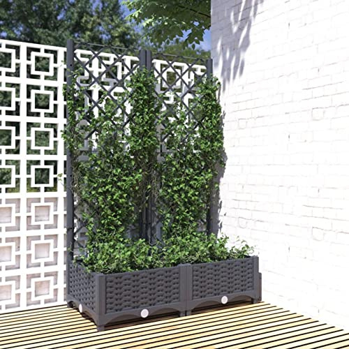 Festnight Jardinera con Celosia Macetero con Enrejado Jardinera Rectangular Macetas jardín Plantas Rosas balcón jardinería Interior Exterior 80 x 40 x 121,5 cm Gris Oscuro