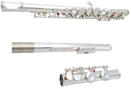 Querflöte Instrument Flöteninstrument C-Klappe Versilbert 16 Löcher Geschlossenes Loch E-Klappe Flöte Für Anfänger
