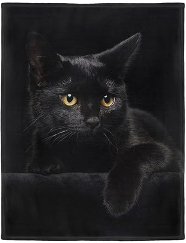 YISUMEI Decke 125x150 cm Kuscheldecken Sanft Flanell Weich Fleecedecke Bettüberwurf Schwarze Katze