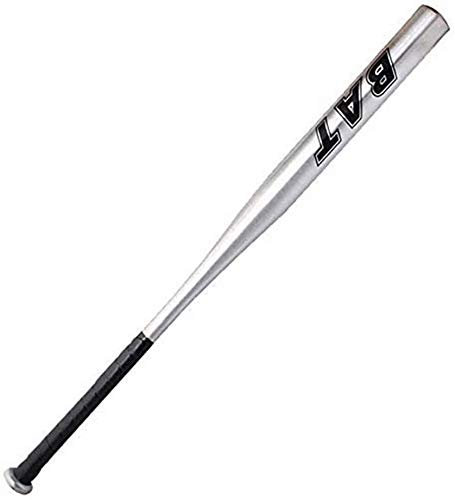 Farsler Mazza da Baseball, 63,5 cm Mazze Sport Softball Resistente, per Esercizi di Adolescenti e Adulti (d'argento)