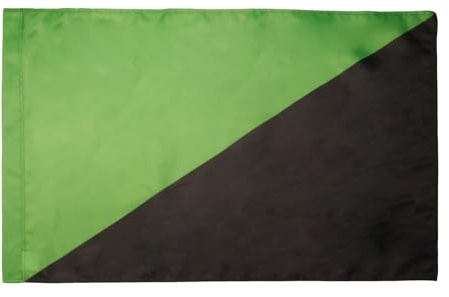AZ FLAG Flagge Primitivismus 90x60 cm Anarchismus Polyester 100D Hohlsaum | Für innen und außen dekorative Flagge doppelte Nähte und verstärkte Kanten mit Masttunnel 100D Polyester