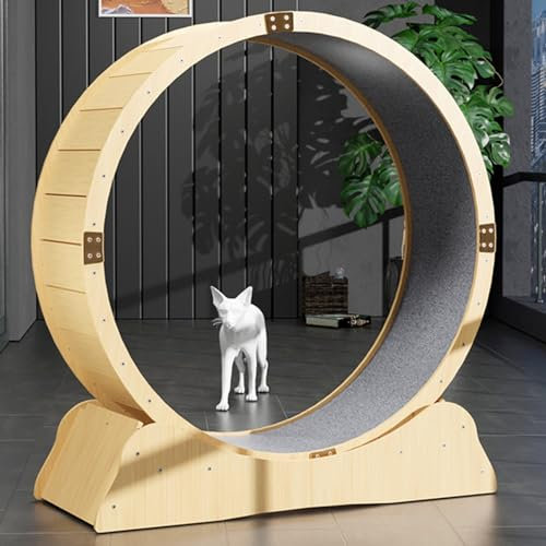 ExoticaBlend Katzenlaufrad für Indoor-Katzen, Katzenlaufrad, Einfach Montiertes Katzen-Laufbandrad, Ultra-leises Laufen für die Gesundheit der Katze,XL