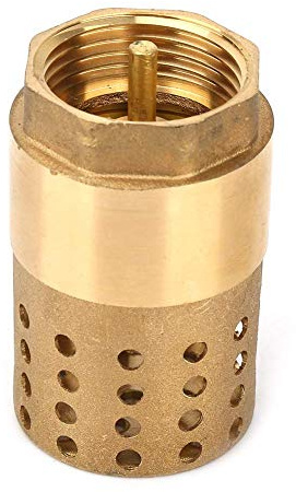 Keenso DN25 Rückschlagventil, einseitig, aus Messing, mit Innengewinde, weiblich, mit Filterfilter