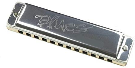 12 Stahl Low Octave diatonische Mundharmonika 12 Löcher Harfe Tonart C Edelstahl Reeds Musikinstrumente YIJIAN (Farbe : Key Low C)