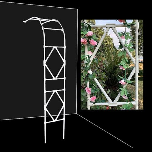 Pergola en métal pour plantes grimpantes - Demi-arche de jardin solide pour entrées et chemins - Beau treillis pour vignes et plantes