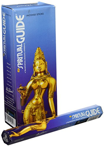 Laroom 10749 - Pack de 12 cajas de 20 palos Spiritual Guide