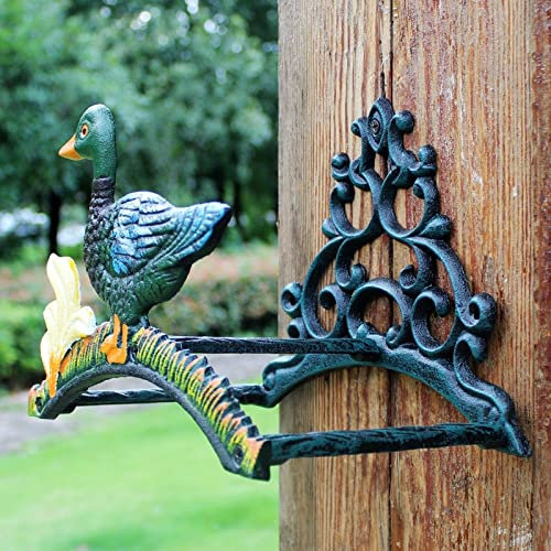 Soporte de manguera de agua de jardín de hierro forjado, decoración de pared para jardín de casa, soporte de manguera de agua de pato