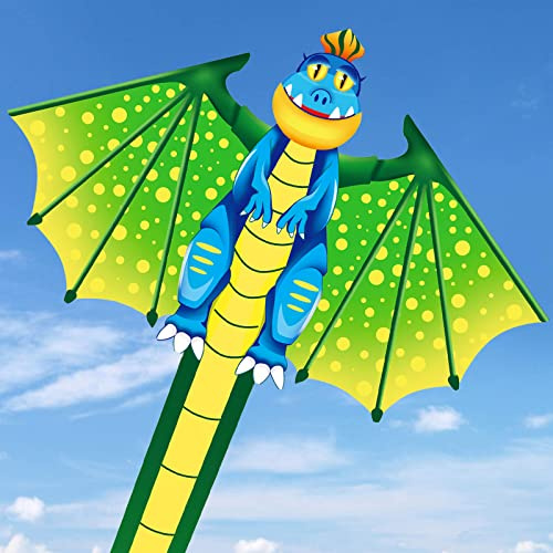 Aquiloni Drago Volante Aquilone per Bambini Ragazzi Ragazze Adulti Principianti The Beach Park Giochi all'aperto Facile da Volare