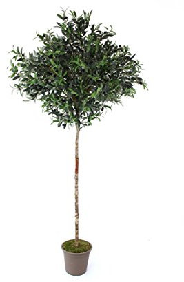 Oliven Kunstbaum mit runder Krone 100cm und Naturstamm, Höhe 200cm - künstlicher Olivenbaum