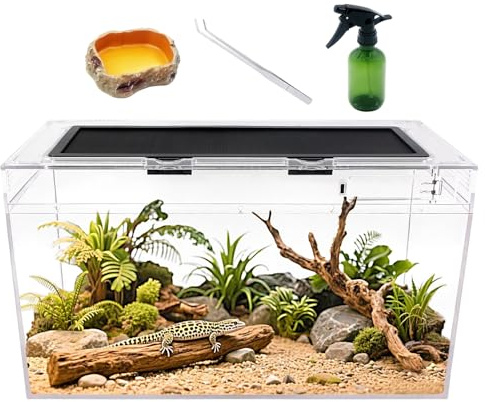 Reptile Growth Reptile Terrarium Kit, Reptile Tank 20 x 10x 11, with Stainless Steel Tweezer, Spray Bottles,Water Food Bowl，Terrarium Reptile for Gecko Hermit Crab Bearded Dragon Lizard