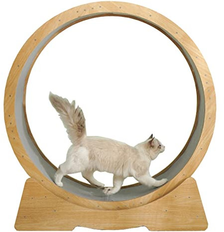 Katzenlaufrad Katzenlaufrad-Übungsgerät für Hauskatzen, spaltfreies Holz-Katzenlaufrad mit Rutschfester Teppichlaufbahn, Laufbandspielzeug für kleine, mittelgroße und große Katzen (Größe: L-