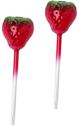 BESPORTBLE 2pièces Lot de Globes Arrosage pour Plantes Intérieur Arroseur Automatique à Bille pour Fraisiers Système Irrigation pour Fleurs Extérieur