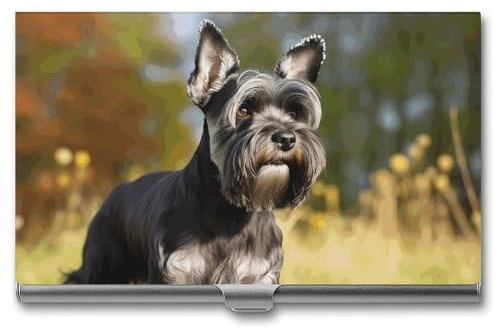 MNBVKL Visitenkartenbox, Schnauzer-Hund auf dem Gras, bedruckte Visitenkartenbox, strapazierfähige Visitenkartenbox, Reise-Visitenkartenbox, grau, Einheitsgröße, modern, grau, Einheitsgröße,