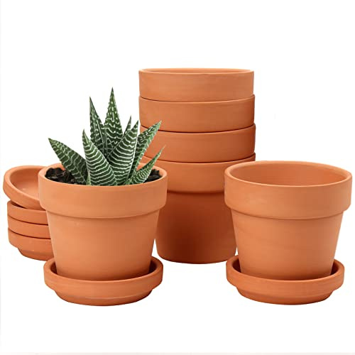 Oairse 6 mini vasi in terracotta 8 x 8 cm con sottovaso e foro di scarico, vaso da fiori con vassoio, vaso in terracotta per piante da interno all'aperto, regalo di nozze
