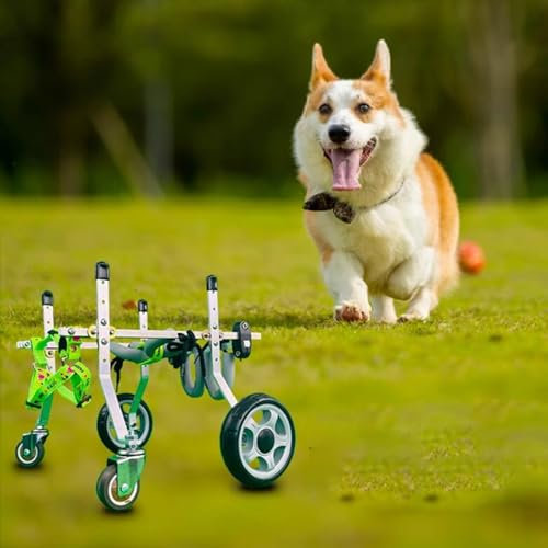 Jievmrs Hunderollstuhl Hundebuggy aus Aluminium mit 4 Rädern, Haustierrollstuhl mit Voller Unterstützung für Vorder-/Hinterbeine, Gehhilfe für Gelähmte/Alternde Hunde, Einfach zu Bedienen(XXL)