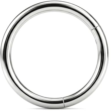 LAURITAMI Titan näsring ring ring 20G 18G 16G 14G titanlegering gångjärn klicker - näsa piercing smycken septum ring helix örhänge brosk tragus daith läpppiercing smycken, 6/8/10/12 mm