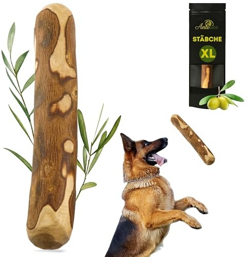 Anlolive | Jouet à Mâcher Naturel Taille XL 27-30 cm | Grands Chiens | Bois d'olive | Jouet Sain, Sûr et Durable | Soulage l'Anxiété, Prend Soin des Dents et Réduit Le Stress