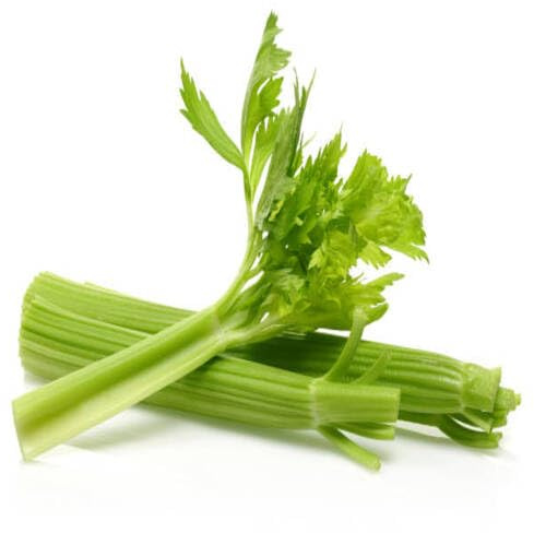 100 piezas de semillas vegetales de apio verde