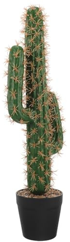 PACKOVE Cactus Artificiel en Plastique Pot, Décor Réaliste pour Intérieur | Faux Cactus, Cactus Faux, Cactus Artificielle, Décorations de Cactus, Figurines de Plantes