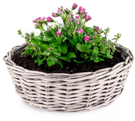 Pflanzkübel Premium Kubu Rattan-Korb als Pflanztopf für außen - runder Pflanzkasten als wetterfester Blumentopf in Ø 45 x 14 cm - Großer Pflanzkorb als Blumen-Korb und Pflanzen-Topf