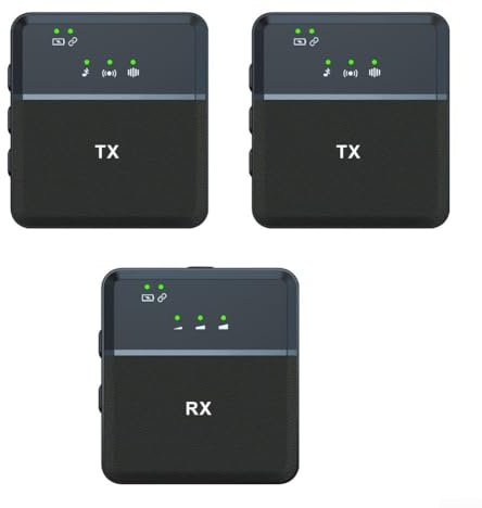 Besshepplo Micrófono de grabación inalámbrico, micrófono omnidireccional, micrófonos Lavalier con cable de audio, receptor tipo C para smartphones, cámaras, portátiles, tabletas, altavoces (1 en 2)