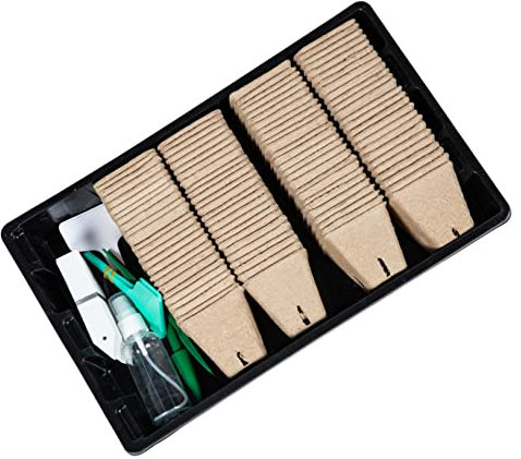 SEWOART Vassoi Per Piante Kit Per Principianti Di Piante Utile Vaso Da Vivaio Semplice Vaso Da Vivaio Bicchieri Di Carta