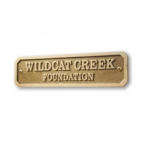 Custom Brass Door Plaque – Personalized Name Plate with Engraved Message | Rectangular Shiny Brass Wall Mount Sign | Custom Size Metal Door Plate for Home, Office & Room Decor (50x14 Cm)
