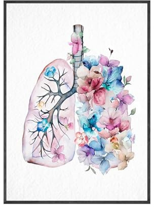Supkancl Organo anatomico Poster Vintage Anatomia Umana Stampa Pittura Cervello Cuore Polmone Immagine di Arte della Parete Decorazione Stanza Medica(9,50x75cm No Frame)