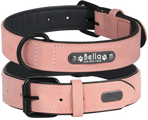 Didog Hundehalsband, weiches, gepolstertes, Leder, mit personalisierbarem, graviertem Namensschild, D-Ring. Für kleine und mittelgroße Hunde geeignet.