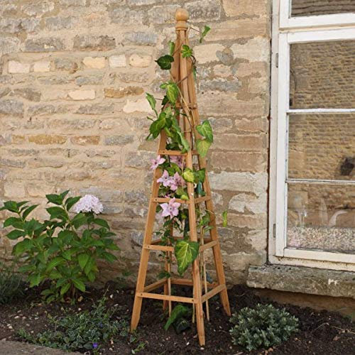 Garden Mile® Grande arche de jardin tubulaire robuste pour plantes grimpantes - Structure de support pour plantes grimpantes - Décoration de jardin - Obélisque des bois - 1,5 m