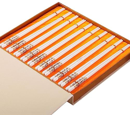 GAROEN Palillos para Principiantes Palillos de Metal 10 Pares de Palillos de Porcelana China Juego de Caja de Regalo, Palillos de cerámica de 25 cm (B)