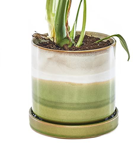 CHIVE ‘Minute’ Ceramic Planter Pot — Cute 5” Colorful Succulent Pots for Indoor & Outdoor House Plants — Beautiful Modern Farmhouse Kitchen Decor — Green Layers