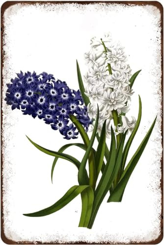 SBKGBIEHG Letrero de metal rústico retro vintage de jacinto vintage para decoración de pared de baño de flores silvestres, arte botánico floral para pared del hogar, póster de 30,5 x 40,6 cm