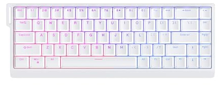HEEZOU Tastiere per PC PC HE65 Game Tastiera Meccanica per Giocatori E Programmatori