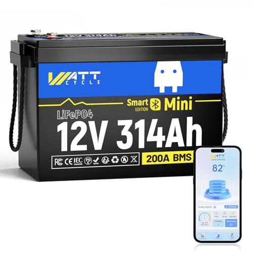 Batería LiFePO4 12V 314Ah Mini con Bluetooth 5.0, 4019Wh Batería de Litio, BMS de 200A, +15000 Ciclos, IP65 Impermeable, Certificación ECE R10, para Autocaravanas, Náutica y Solar